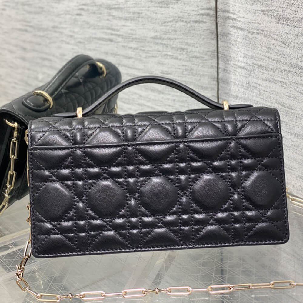My D10r Mini Bag(HIGH-END GRADE)