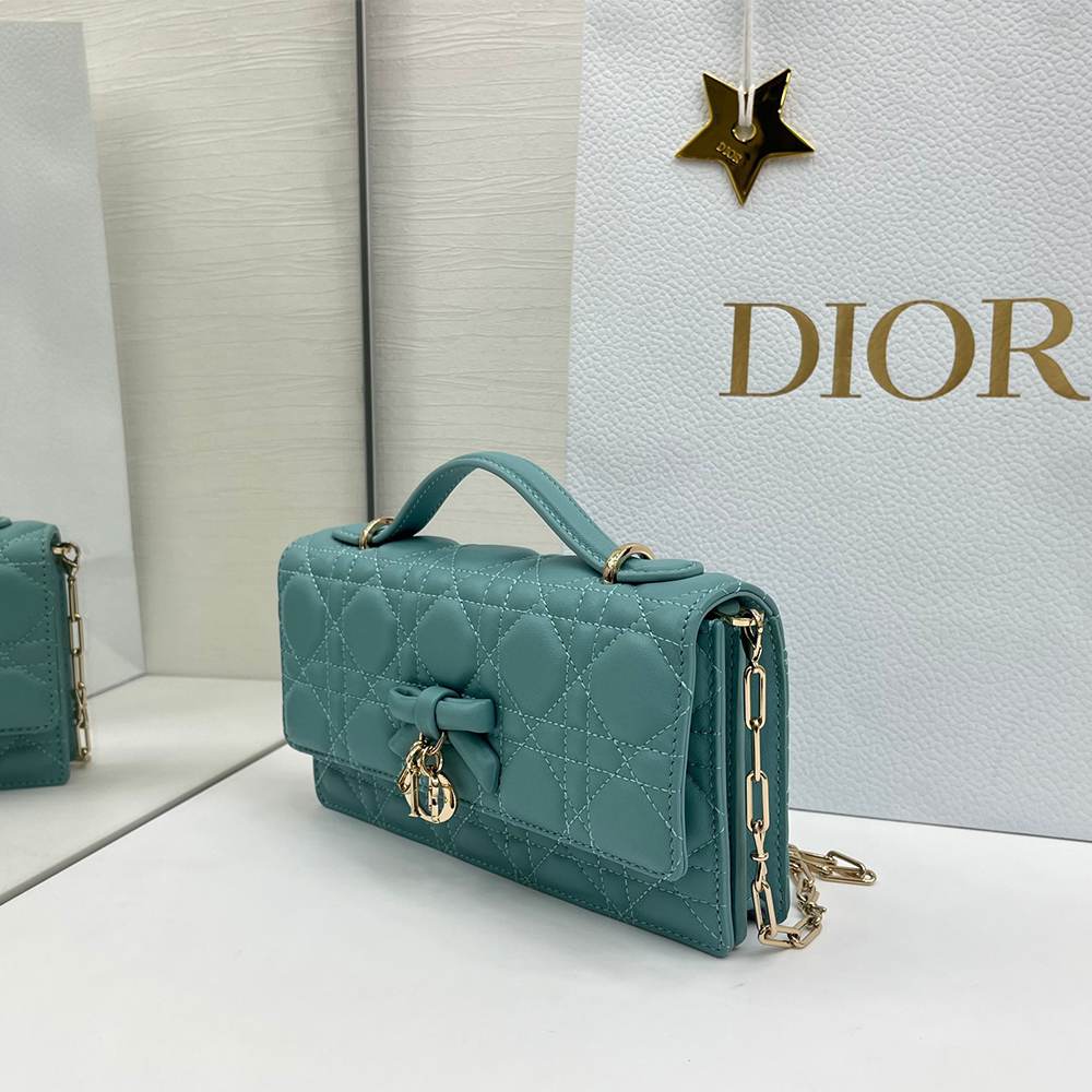 My D10r Mini Bag