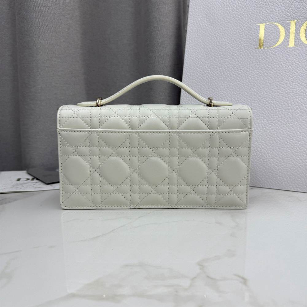 My D10r Mini Bag