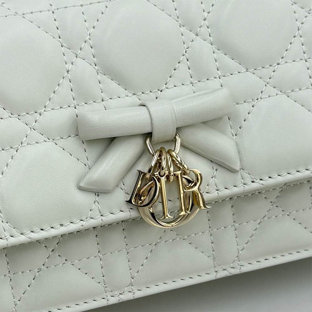 My D10r Mini Bag